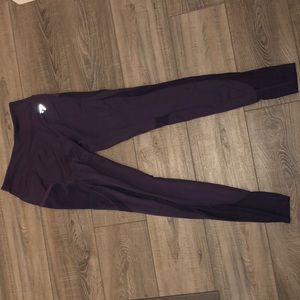 High waisted gym shark leggings!